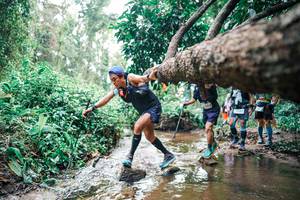 BIB: 
                            <button type="button" onclick="openModal(25374580)" class="btn btn-primary btn-sm float-right btn-popup" data-toggle="modal" data-target=".modal-high-quality">
                        <i class="fas fa-shopping-cart"></i> Add to Cart
                    </button>
                                            <button type="button" onclick="isThisMe(25374580, true)" class="btn btn-success btn-sm float-right btn-popup btn-isme hidden" data-toggle="tooltip" data-placement="bottom" title="นี่คือรูปของคุณใช่ไหม คลิกที่นี่เพื่อเอาเข้าอัลบั้ม">
                        <i class="fas fa-plus"></i> Add to album
                    </button>
                    <button type="button" onclick="isThisMe(25374580, false)" class="btn btn-warning btn-sm float-right btn-popup btn-isnotme hidden">
                        <i class="fas fa-ban"></i> Remove from album
                    </button>